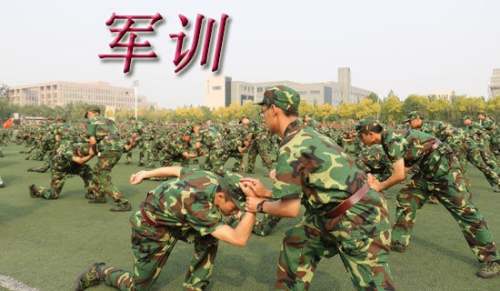 绳梯训练篮球_1